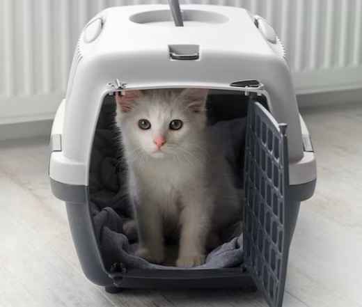 Picture for category Pet Carriers